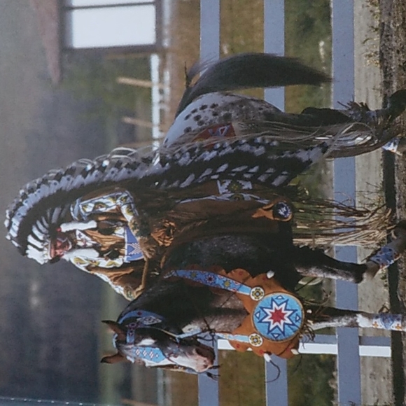 Appaloosa Spirit - Picture 4 of 4